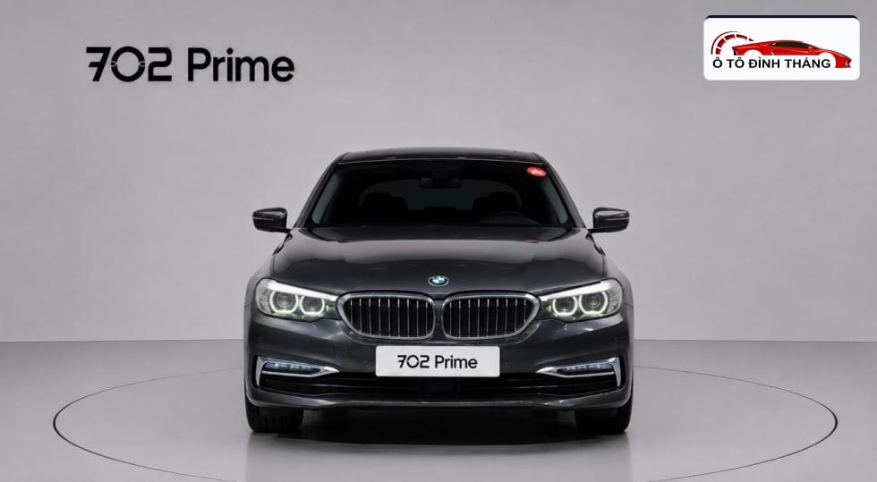 BMW 올뉴5시리즈 (G30) 520i Luxury