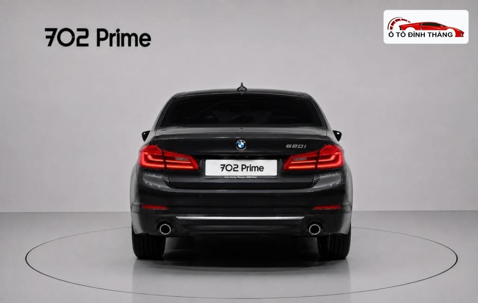 BMW 올뉴5시리즈 (G30) 520i Luxury